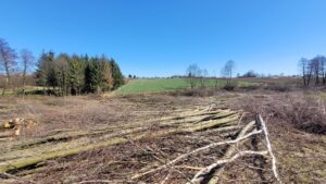 29.03.2023_Widok Placu Budowy w okolicy wykonania przyszłej estakady ES-2 (widok w kierunku południowym), S74 km 6+700